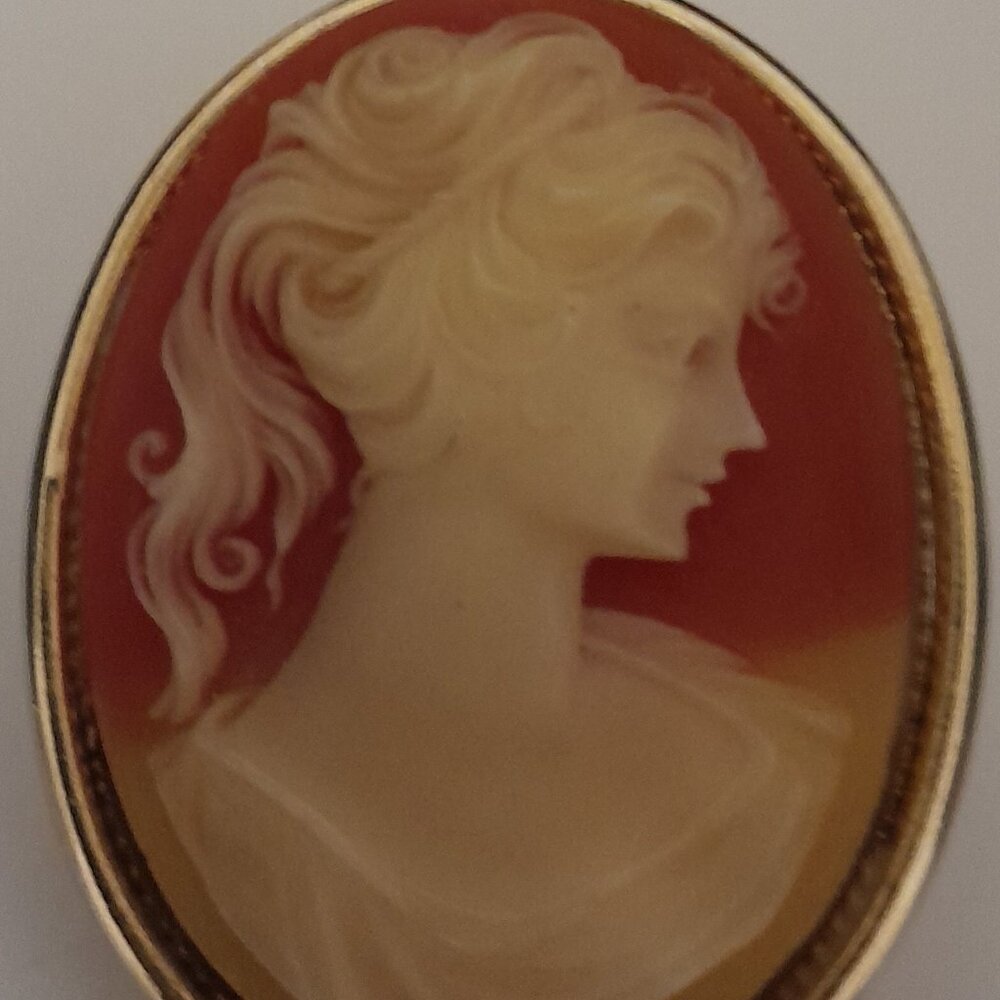 Vintage Cameo Combo Locket, Brooch, Pendant - EUC